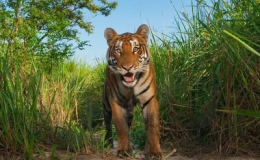 Những bức ảnh thi&ecirc;n nhi&ecirc;n đẹp nhất th&aacute;ng 10